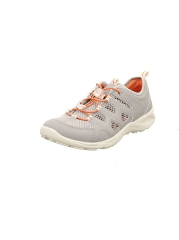 Ecco Sneaker in grau