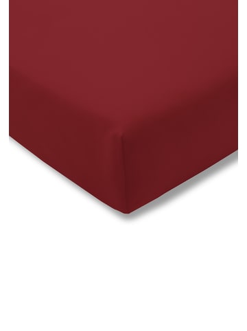 Estella Spannbetttuch Feinjersey in kirsch