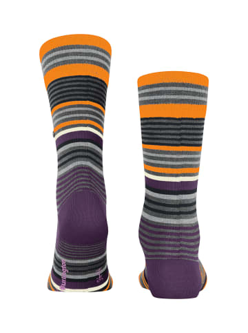 Burlington Socken Stripe in Dark grey