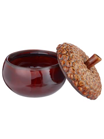Butlers Butlers Dose ACORN in Braun