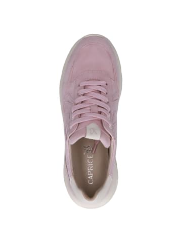 Caprice Sneaker in ROSE COMB