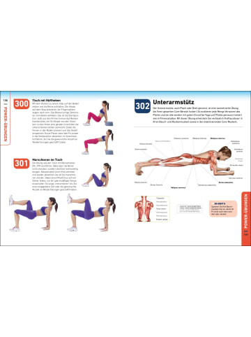 Südwest-Verlag Die H.I.T.-Bibel | 500 hochintensive Übungen für Ihr Power-Workout