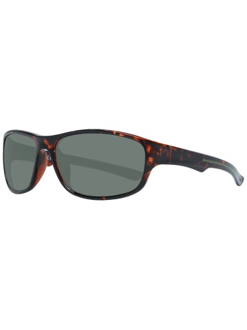 Guess Sonnenbrille für Damen in braun