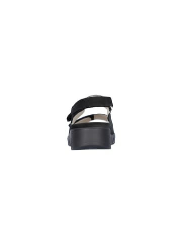 WALDLÄUFER M-Wiola M-Wiola in schwarz