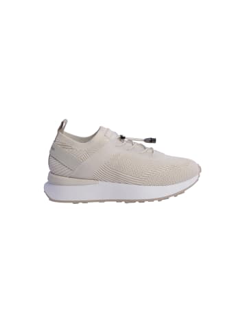 Don Algodon Sneaker Magali in Beige