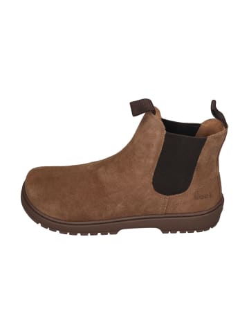 KOEL Chelsea Boots GAVIEN SUEDE in braun