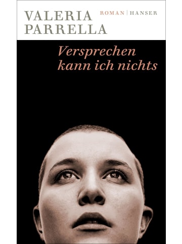 Carl Hanser Verlag Versprechen kann ich nichts | Roman
