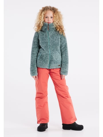 Protest " RIRI JR in Crocodile Green