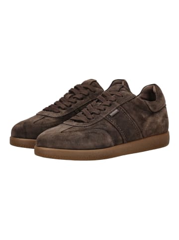 Nero Giardini Sneaker in Braun