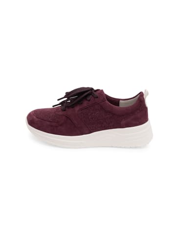 VITAFORM Samtziegenleder Sneaker in aubergine