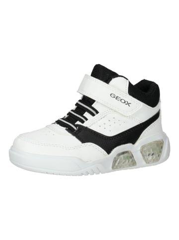 Geox Sneaker in Weiß/Schwarz