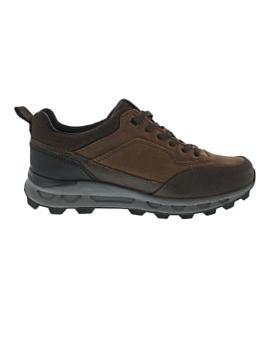 Bugatti sportlicher Schnürer Braun