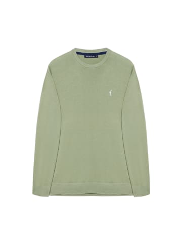 Polo Club Pullover in Jade Grün