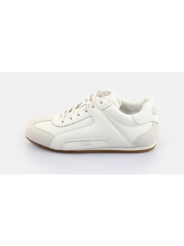 Buffalo Sneaker Varsity in Weiß/Creme