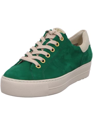 Paul Green Sneaker in grün
