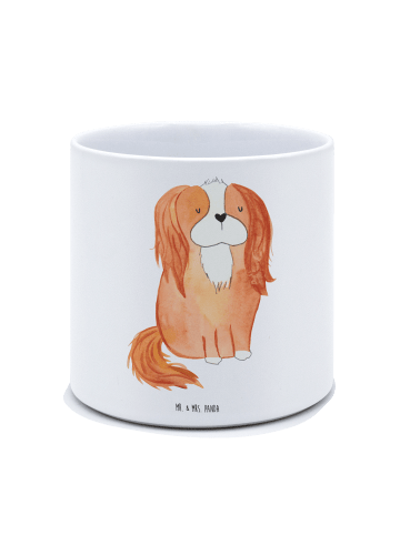 Mr. & Mrs. Panda XL Blumentopf Hund Cavalier King Charles Spanie... in Weiß