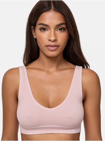 Nur Die  Bustier Retro in rose/khaki