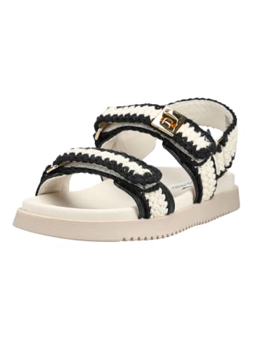 Steve Madden Sandalen in Beige/Schwarz