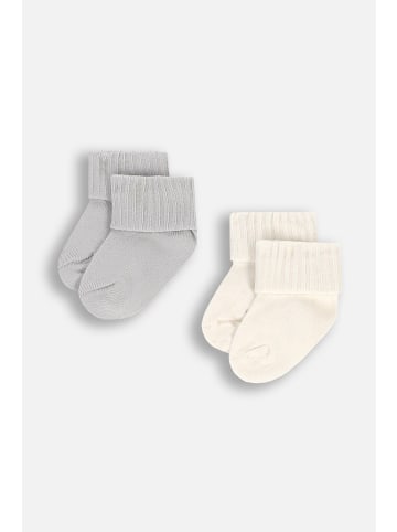 Coccodrillo Socken in bunt