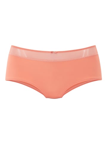 nuance Panty in pfirsich