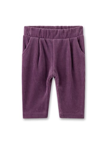 Sanetta Hose in Lila