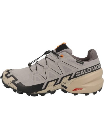 SALOMON Laufschuhe Speedcross 6 GTX in grau
