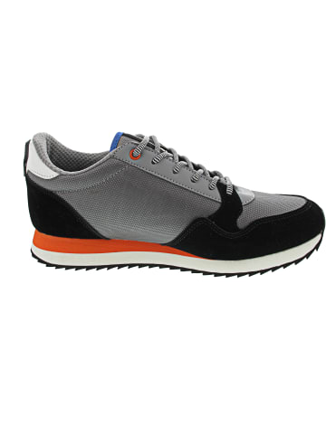 U.S. Polo Assn. US Polo Sneaker low Grau