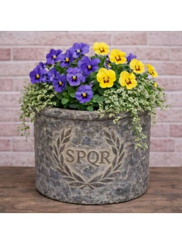 AltoBelli Blumentopf ROMA mit SPQR Wappen Antik Grau Patina Zement 14x12 cm