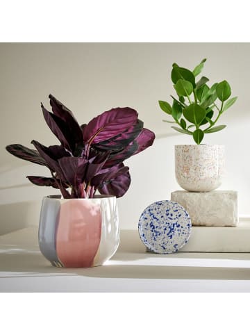 Butlers Blumenübertopf SPOT 2er-Set in Beige