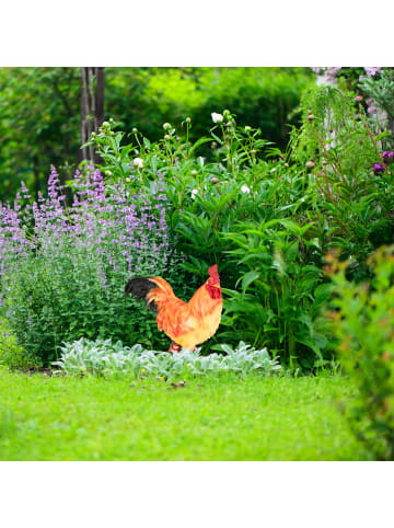 relaxdays Gartenfigur Hahn in Bunt - (B)30 x (H)34 x (T)11 cm
