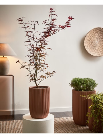 Beliani Outdoor Blumentopf EANTIO in Braun - (W) 25 x (H) 38 x (L) 25 cm