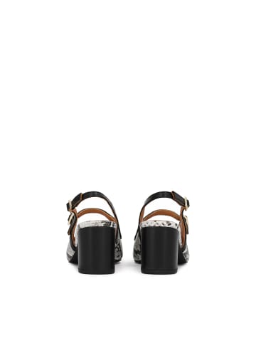 Kazar Pumps in Schwarz