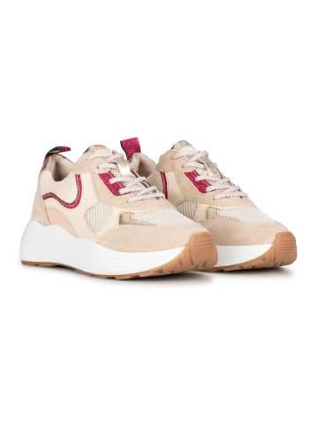 POELMAN Poelman TRIANGLE Damen Sneaker