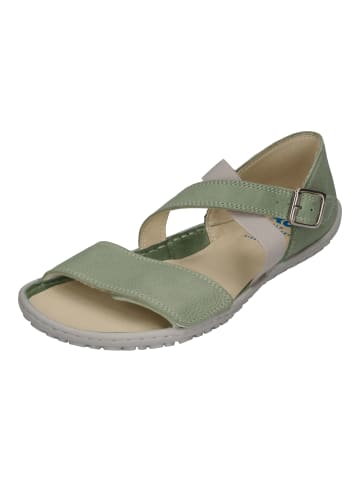 KOEL Sandalen ISA 25L017.208-360 in grün