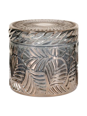 ebuy24 Töpfe Cascais Rauchfarben 9 x 9 cm