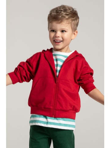 MOKIDA Bluza rozpinana in rot