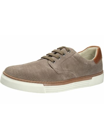 Gabor Sneaker für Herren in braun