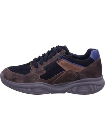 Xsensible Sneaker in braun