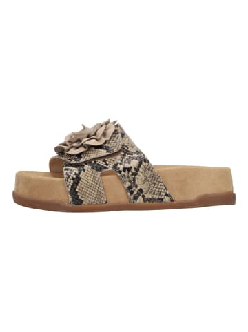 rieker Pantoletten in Beige