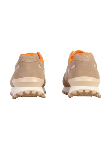Teddy Smith Sneaker aus Leder Beige