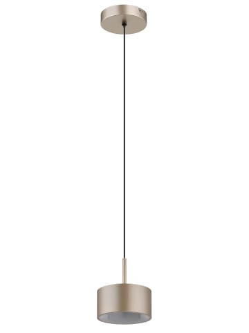 Globo lighting Hängeleuchte "RAYMOND" in black