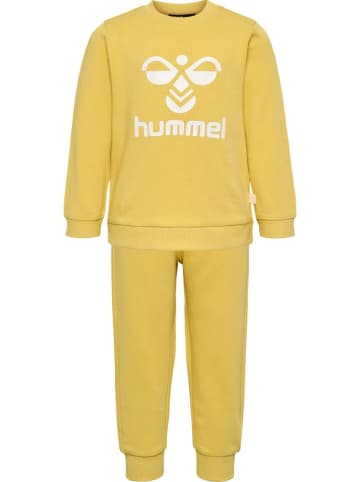 Hummel Kinder Trainingsanzug "Hmlhappy" in Braun