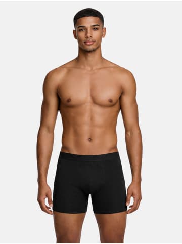 Tazzio Boxershorts 6er-Pack "BS1002" in Basic-Streifen