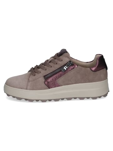 Caprice Sneaker Sneaker in taupe