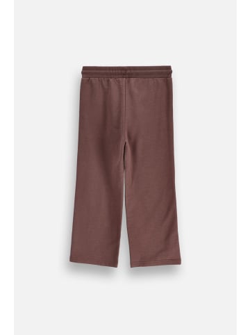Coccodrillo Jogginghose in braun
