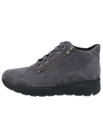 Solidus Stiefeletten/Boot in grau