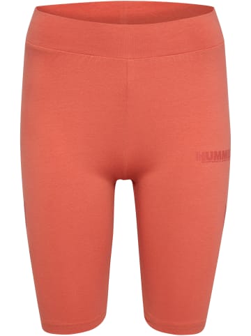 Hummel Hummel Shorts Hmllegacy Damen in APRICOT BRANDY