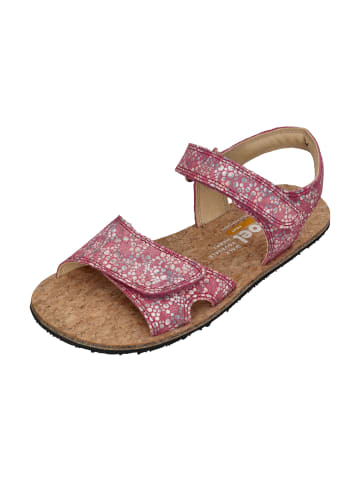 KOEL Sandalen ASHLEY FANTASY in rosa