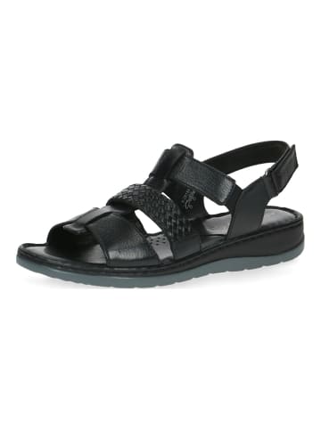 Caprice Sandalen in Schwarz