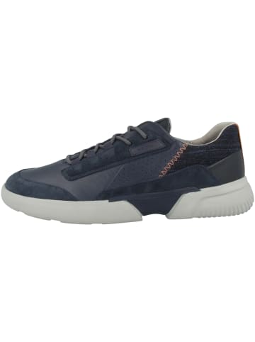 Geox Sneaker low U Smoother A in blau